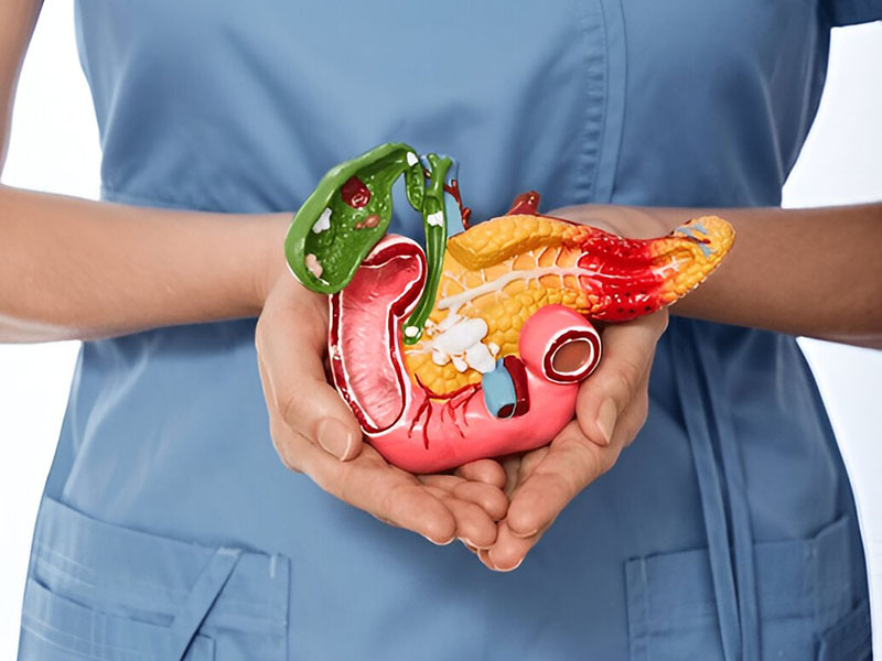 Gastroenterology